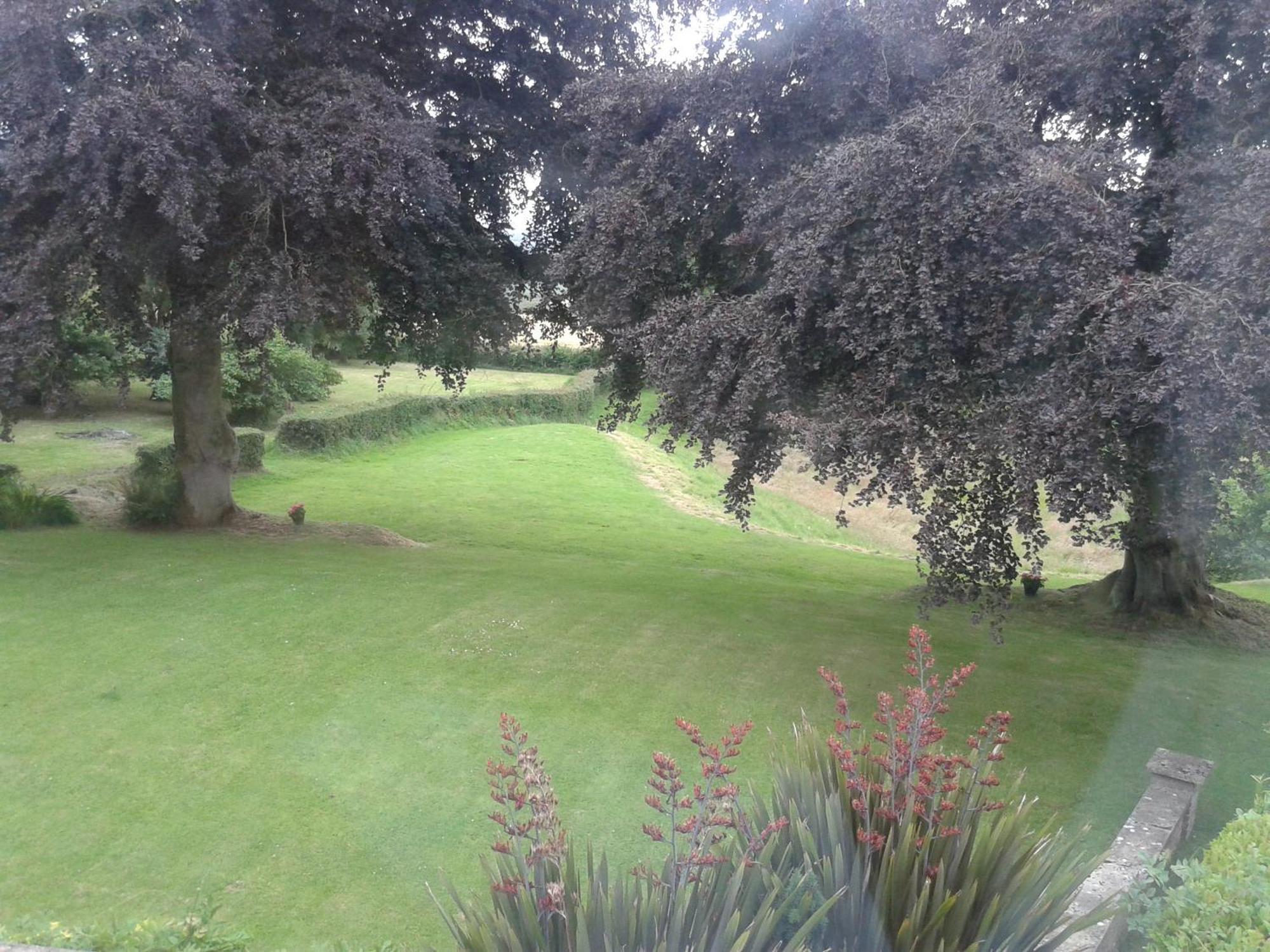 Buckley Farmhouse B & B Sidmouth Ruang foto