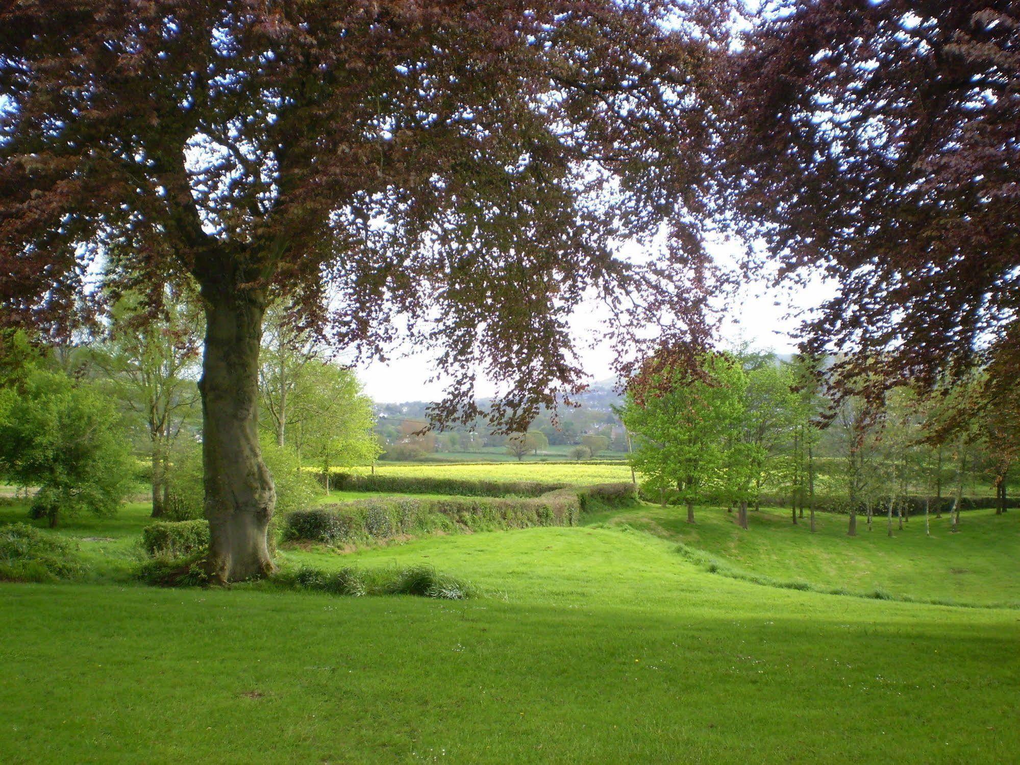 Buckley Farmhouse B & B Sidmouth Bagian luar foto