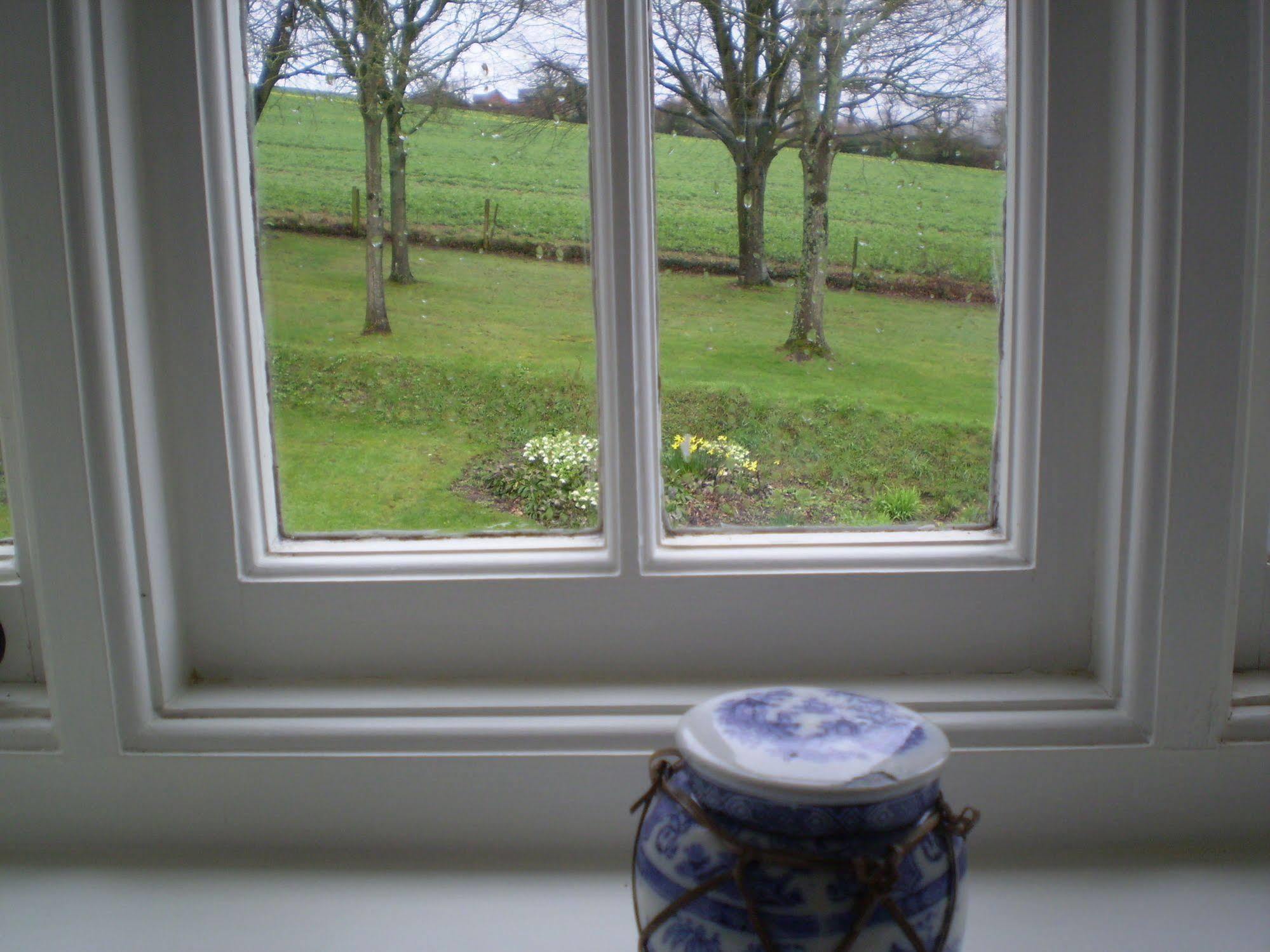 Buckley Farmhouse B & B Sidmouth Bagian luar foto
