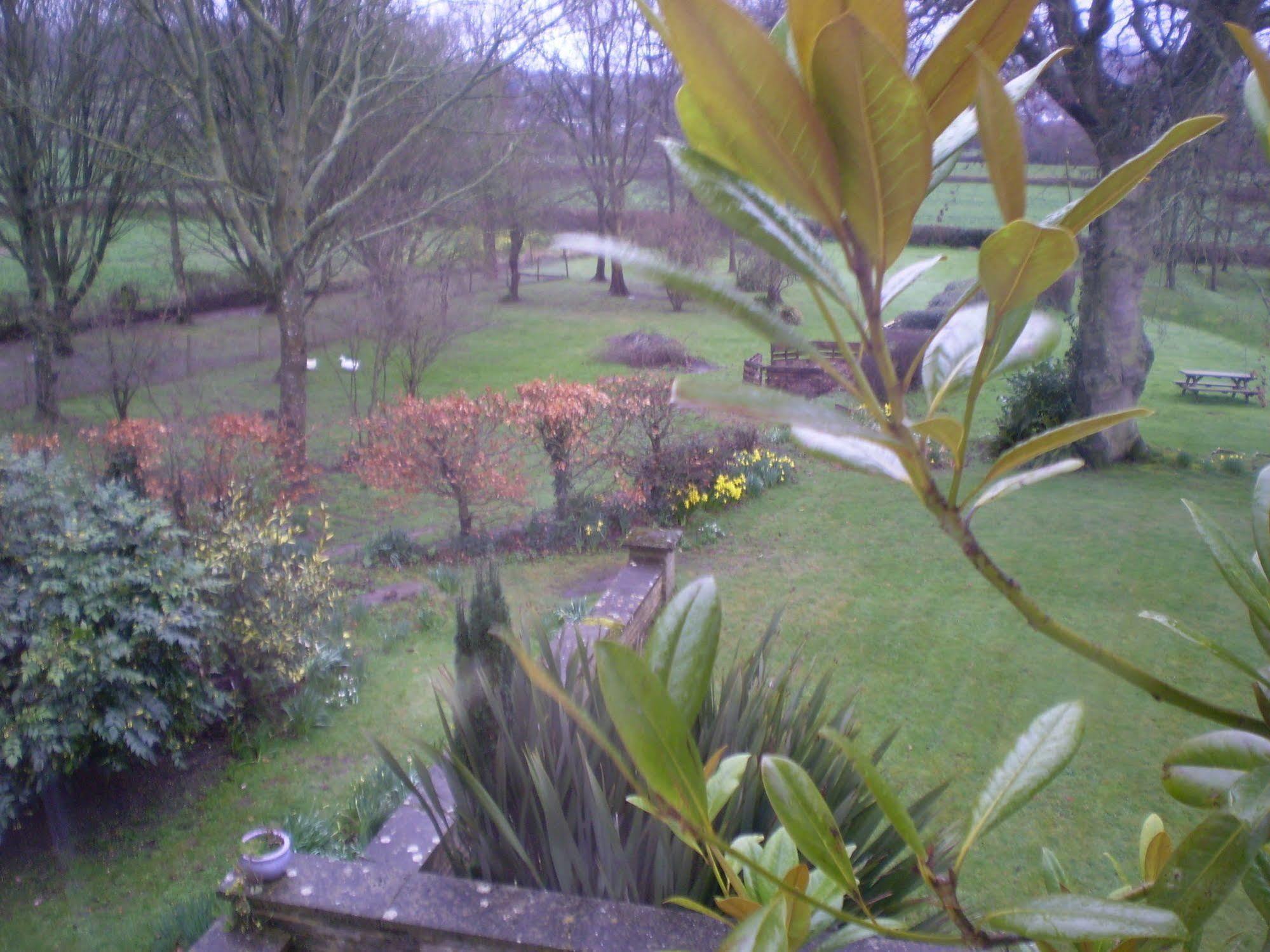 Buckley Farmhouse B & B Sidmouth Bagian luar foto